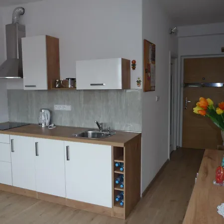 Apartman Q11 Sokolov Exterior photo