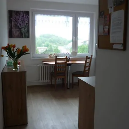 Apartman Q11 Sokolov Exterior photo