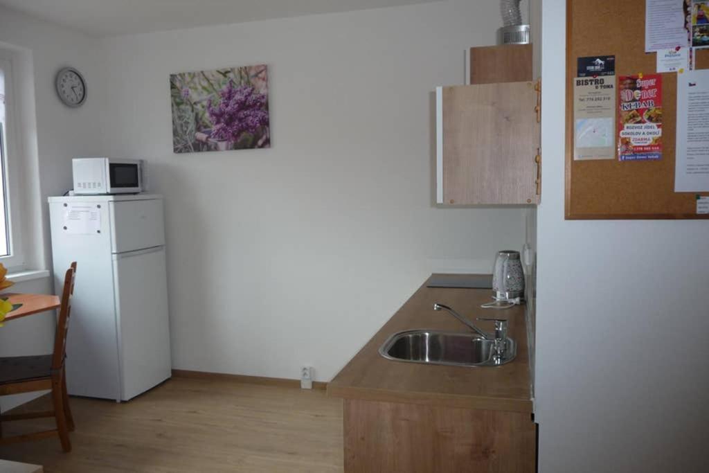 Apartment Q11 Sokolov